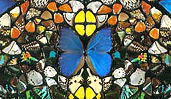 Butterfly wing art from Hirst