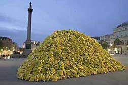 Doug Fishbone's... er, pile of bananas 